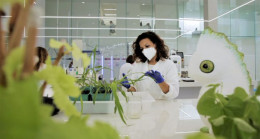 Bayer ve Kimitec Güçlerini Birleştiriyor