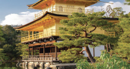 Sakura Zamanı Japonya – Turkchem