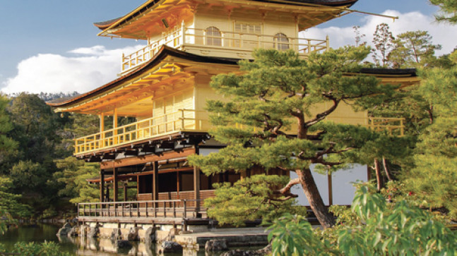 Sakura Zamanı Japonya – Turkchem