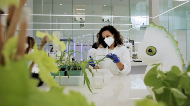 Bayer ve Kimitec Güçlerini Birleştiriyor
