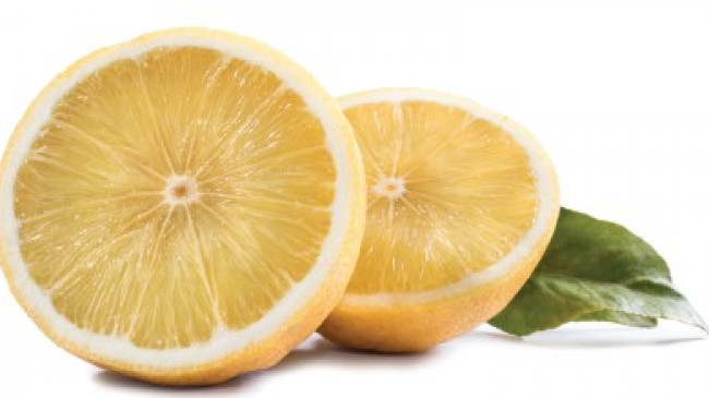 Yeşil Altın: Bergamot – Turkchem